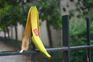 Split Banana